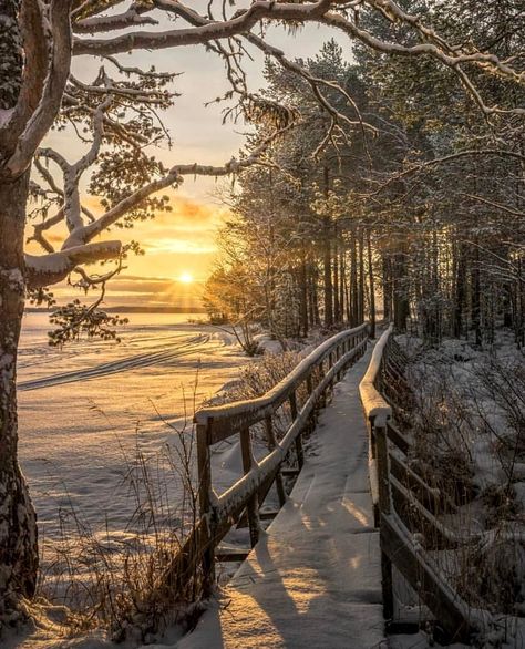 Landscape Photography Tips, Image Nature, Scenery Pictures, Winter Sunset, Landscape Paintings Acrylic, Landscape Photography Nature, Winter Scenery, Winter Pictures, Landscape Pictures