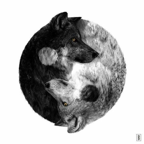 Ying Yang Tattoo, Jin Jang, Tattoo Wolf, Yin Yang Art, Yin Yang Tattoos, Two Wolves, Wolf Artwork, Wolf Tattoo Design, Wolf Spirit Animal