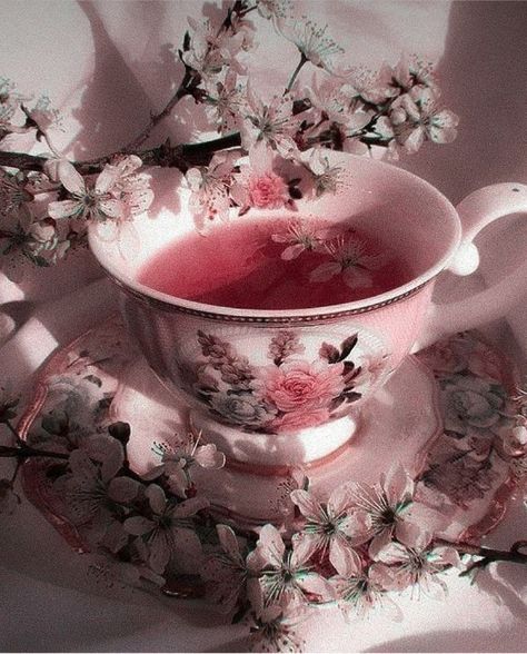 Men Candle, Flowers Cherry Blossom, Rosé Core, Pink Academia, Elixir Of Life, Romantic Nature, Natural Tea, Light Academia Aesthetic, Soft Pink Theme