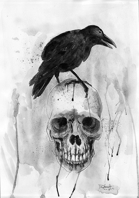 The Raven | Flickr - Photo Sharing! Raven Skull Tattoo, Blackbird Singing, Petit Tattoo, Raven Tattoo, Raven Skull, Bohemian Art, Halloween Designs, The Raven, Blackbird