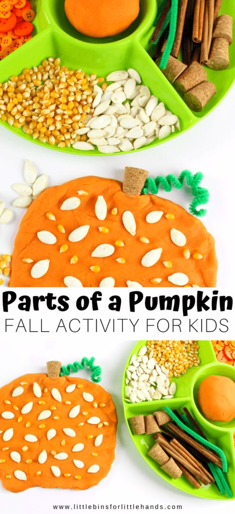 Fall Sensory Playdough, Hands On Pumpkin Activities, Autumn Themed Activities Eyfs, Pumpkin Provocations Kindergarten, Thanksgiving Playdough Activities, Fall Playdough Activities, Pumpkin Eyfs Activities, Harvest Eyfs Activities, Parts Of A Pumpkin Craft