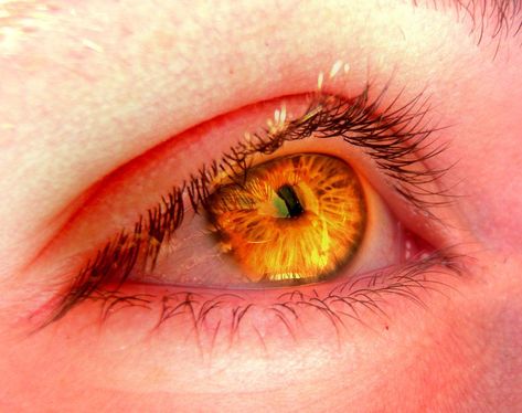 Yellow Glowing Eyes, Dragon Blaze, Character Eyes, Arthur Brown, Orange Aesthetic, Aesthetic Eyes, Gold Eyes, Liquid Gold, Fantasy Aesthetic