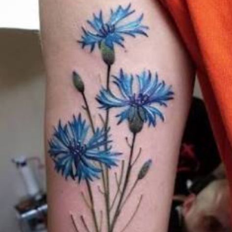 Tattoo uploaded by Bindy • #blue #cornflower #longstem #hope #mnd #welove #flower back of #upperarm • Tattoodo Blue Cornflower Tattoo, Cornflower Tattoo, Bachelor Button Flower, Bachelor Button Flowers, Button Tattoo, Bachelor Buttons, Blue Cornflower, Tattoo Meaning, Flower Tattoo Designs