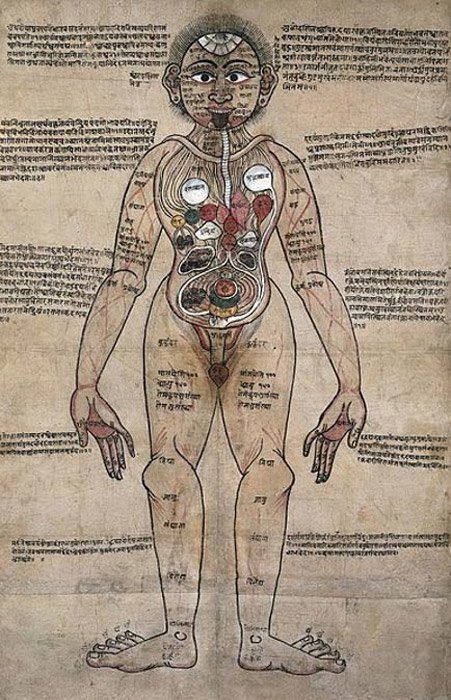 Ancient Ayurveda, Ayurveda Yoga, Wellcome Collection, Early Humans, Anatomy Sketches, Ancient Origins, History Of Science, Medical Knowledge, Medical Practice