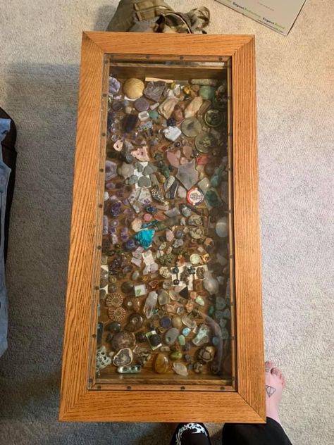 Display Rock Collection, Rock Display Ideas Diy, How To Display Rocks, Rock Display Ideas, Rock Storage, Rock Collection Storage, Diy Jewelry Cabinet, Alter Space, Rock Collection Display