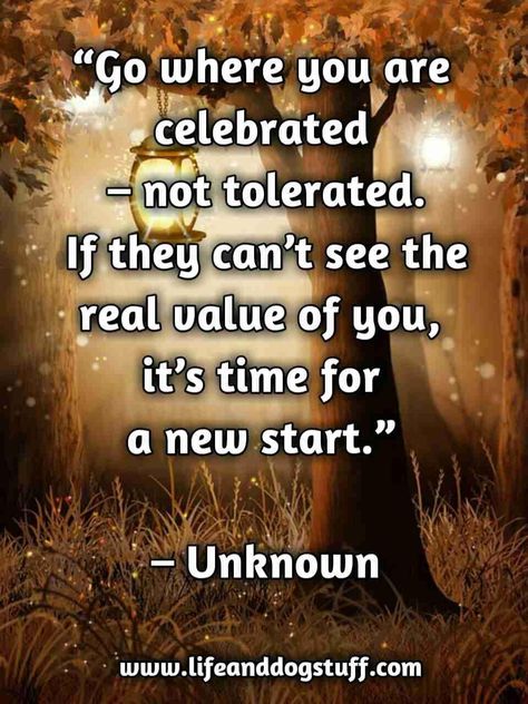 Shameless Book Club on Twitter: "You are valuable.… " Celebrate Quotes Inspirational, You Are Appreciated, Good Morning Love Messages, A New Start, Life Quotes Love, Celebration Quotes, Positive Quotes For Life, New Start, Good Life Quotes