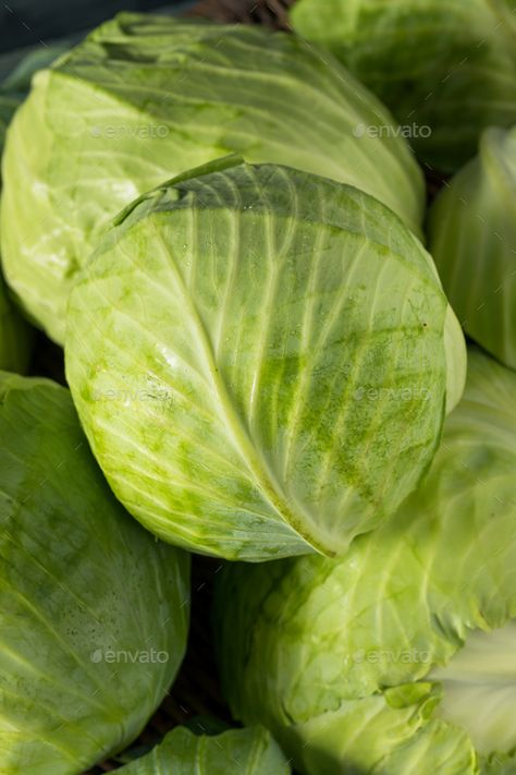 Raw Green Organic Cabbages by bhofack2 on PhotoDune. Raw Green Organic Cabbages in a Pile Cabbage Aesthetic, Cabbage Photography, Cabbage Diet, Cabbage Vegetable, Vitamins For Vegetarians, Vegetables Photography, Medical Words, Natural Face Cleanser, Organic Fruits