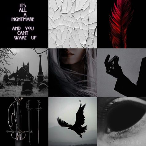 Raven Moodboard, Villain Moodboard, Moodboard Adopts, Image Aesthetic, Fantasy Aesthetics, Novel Characters, Book Writing Inspiration, Aesthetic Moodboard, Mood Board Inspiration