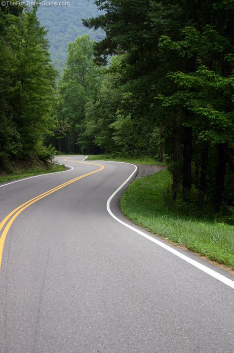 Tail Of The Dragon - see what this deadly stretch of road is like for Jeep drivers and motorcycle riders! Road Trip Necessities, Tail Of The Dragon, Vacation Checklist, Living In Nashville, Road King Classic, Travel Secrets, Go Ride, Scenic Roads, Winding Road