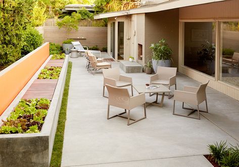 16 Sensational Mid Century Patio Designs To Improve Your Backyard Mid Century Patio Ideas, Mid Century Backyard, Midcentury Patio, Mid Century Modern Backyard, Mid Century Landscaping, Mid Century Modern Patio, Concrete Paver Patio, Modern Patio Design, Cement Patio