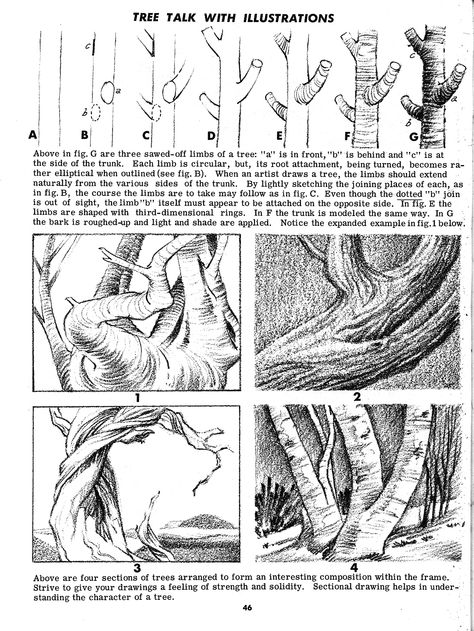 Draw Tree, Trees Drawing Tutorial, Landscape Drawing Tutorial, Ink Drawing Techniques, Tree Limbs, Arte Peculiar, Nature Sketch, Texture Drawing, Art Skills