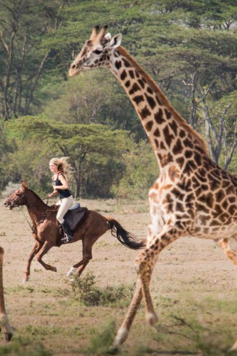 Horse riding safari in Kenya Living In Africa, Safari Core, Africa Vacation Aesthetic, Safari Lifestyle, Africa Animals Wildlife, Africa Safari Aesthetic, Horse Vacations, Safari Aesthetic, Endurance Horse Riding