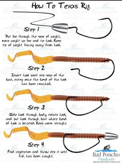 #bass Fishing Hook Knots, Pesca In Mare, Fly Fishing Tips, Bass Fishing Lures, Bass Fishing Tips, Walleye Fishing, Fishing Rigs, Fishing Techniques, Fishing Knots