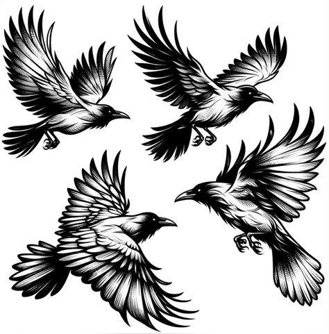 American Traditional Tattoos Crow, Flying Raven Tattoo Design, Traditional Crow Tattoo Design, 2 Ravens Tattoo, Raven Tattoo Linework, Raven Tattoo Design Sketch, Crow Flying Tattoo, Raven Bird Tattoo, Raven Tattoo Drawing