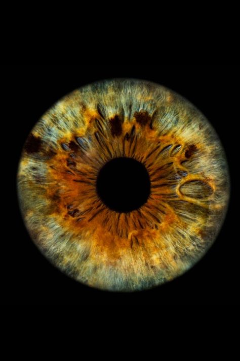 Eye Iris Photography, Eye Iris Painting, Iris Of The Eye, Iris Eye Art, Iris Photography Eye, Eye Microscope, Universe Eyes, Meditation Yoga Poses, Space Eyes