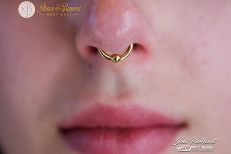 ~This septum is a dream~ Many clients have the vision of a dainty gold ring for their septum piercing, and a CBR is a great way to achieve that look straight away! Madison went with this 18k yellow gold CBR for their initial jewlery and it fits their nose sooooo perfectly. 📷: @50percentsnakes . . . #aboveandbeyondbodyarts #santabarbara #visitsantabarbara #shoplocal #supportsmallbusiness #appmember #safepiercing #805 #shoplocal #gold #18k #goldjewelry #bvla #bvlalove #septumjewelry #septum... Dainty Gold Ring, Dainty Gold Rings, Septum Jewelry, Septum Piercing, The Vision, Above And Beyond, A Dream, Gold Ring, Piercings