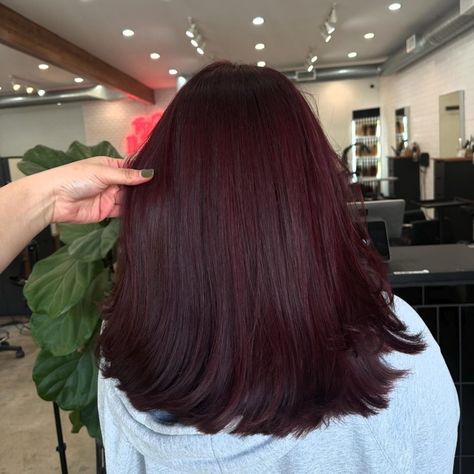 Wine Red Hair Color Ideas 2025: 22 Stylish Burgundy Highlights & Short Hair Inspiration Wine Red Short Hair, Short Burgundy Hair, Highlights Short Hair, Wine Red Hair Color, Burgundy Balayage, Short Hair Inspiration, Red Hair Color Ideas, Burgundy Highlights, Short Hair Highlights