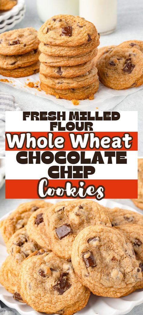 These Whole Wheat Chocolate Chip Cookies are made with freshly milled flour and loaded with chocolate chunks for the perfect balance of healthy and indulgent. Ideal for anyone craving homemade goodness with a wholesome twist! Fresh Milled Flour Chocolate Chip Cookies, Fresh Milled Chocolate Chip Cookies, Whole Wheat Cookies Healthy, Fresh Milled Flour Cookies, Cookies With Whole Wheat Flour, Wheat Flour Cookies, Whole Wheat Chocolate Chip Cookies, Wheat Chocolate Chip Cookies, Healthier Cookies