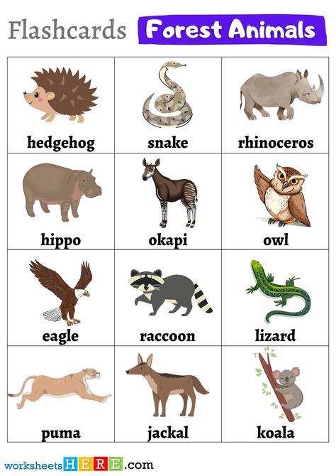 +45 Forest Animals Names with Pictures Flashcards PDF Worksheets For Students - WorksheetsHere.com Animals Name With Picture, Animal Pictures For Kids, Animals Name In English, Farm Animal Crafts, Howler Monkey, Animal Flashcards, Animal Worksheets, Arctic Wolf, Wild Animals Pictures