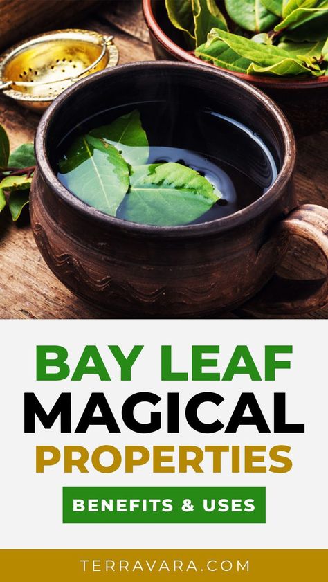 Bay leaf magical properties, benefits and uses. Bay Leafs Magic, Bay Leaf Uses, Bay Leaf Magical Properties, Uses For Bay Leaves, Bay Leaves Magical Properties, Burning Bay Leaves Benefits, Bayleaf Magic, Bay Leaves Witchcraft, Bay Leaves Benefits