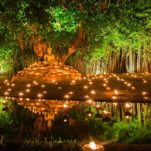 Appreciation Archives - National Today Bodhi Day, Energy Circles, Inner Energy, Bodh Gaya, Buddhist Texts, Buddha Canvas, Siddhārtha Gautama, Bodhi Tree, Buddha Teachings