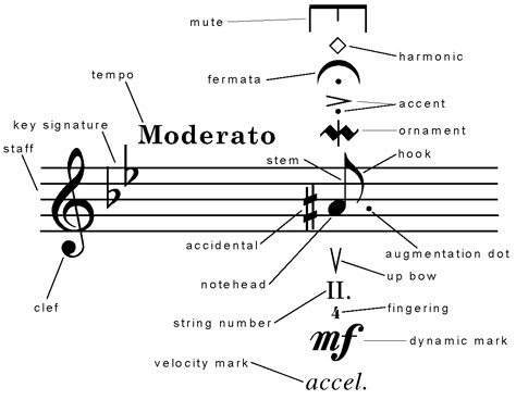 Music Notation Music Vocabulary, Music Basics, Music Theory Piano, Music Terms, Learn Music Theory, Music Theory Lessons, Music Theory Worksheets, Iconic Celebrities, Piano Music Lessons