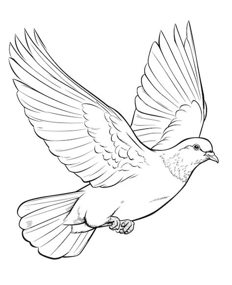 Pigeon Outline Drawing, Turtle Dove Drawing, Flying Dove Drawing, Birds Flying Drawing, Flying Birds Drawing, White Bird Drawing, Bird Flying Drawing, Bird Drawings Easy, Flying Bird Illustration