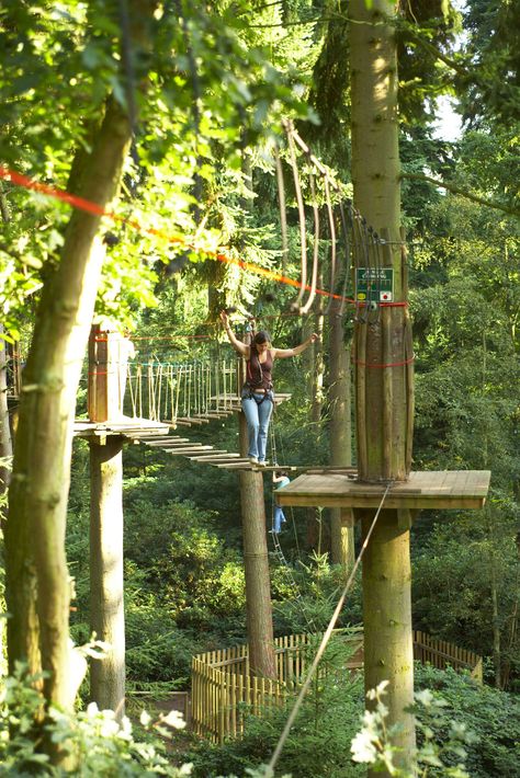 Go Ape Treetop Adventure, Adventure Park Aesthetic, Pjo Cabins, Bday Plans, Centre Parcs, 23 Birthday, Go Ape, Life Activities, Center Parcs