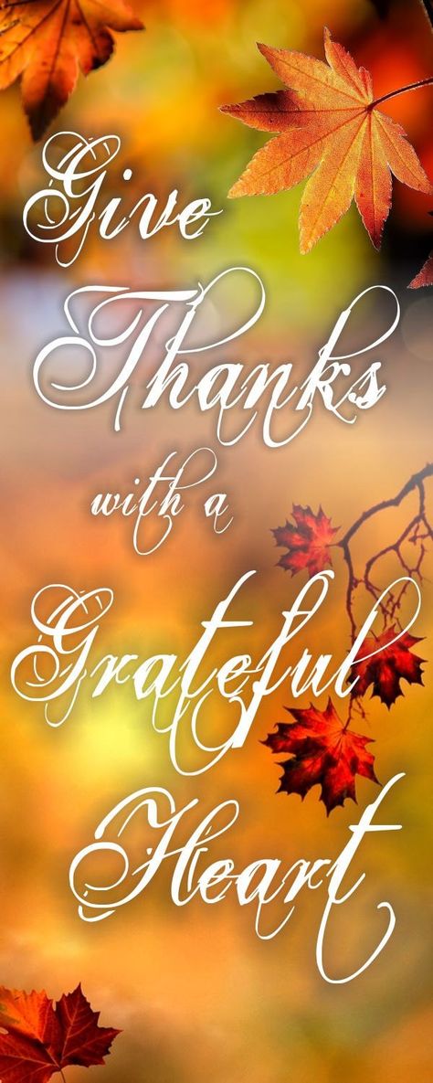 Thanksgiving Posts, Thanksgiving Thoughts, Fall Sayings, Church Bulletins, Church Banners Designs, Church Outreach, Church Banner, Happy Thanksgiving Images, Blessed Thanksgiving