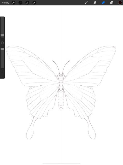 The Ultimate Guide to Drawing Butterflies in Butterfly Drawing Outline, Drawing Butterflies, Butterfly Watercolor Painting, Painting Clipart, Procreate Ideas, How To Draw Realistic, Butterfly Art Drawing, Butterfly Outline, Butterfly Stencil