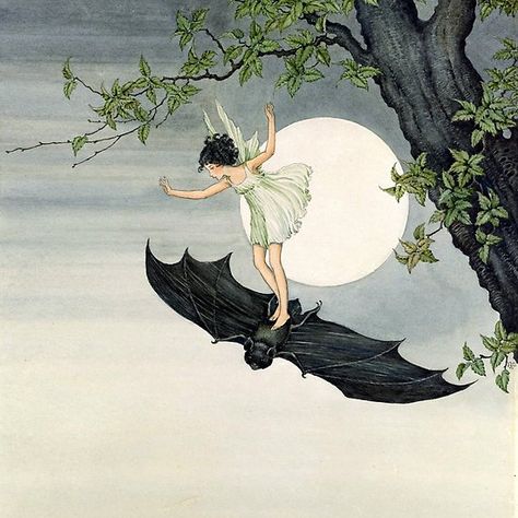 Ida Rentoul Outhwaite, Fairies Flying, Bat Art, Fairy Illustration, Art Mignon, Elves And Fairies, Vintage Fairies, Fairy Girl, Arte Inspo