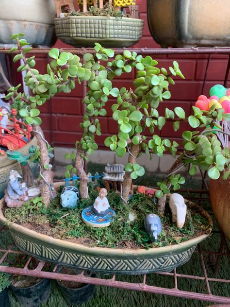 Fairy Garden Pots, Jade Bonsai, Jade Design, Plants Diy, Ganapati Decoration, Buddha Garden, Mini Gardens, Buddha Art Painting, Garden Decor Projects