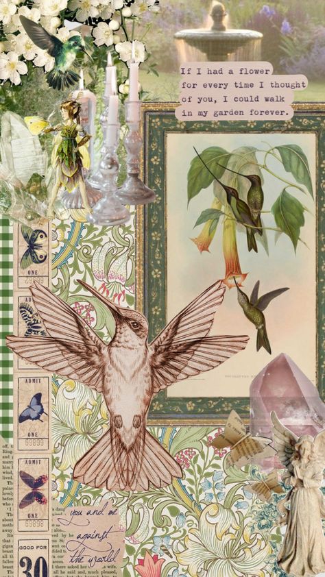 Hummingbird Iphone Wallpaper, Hummingbird Aesthetic Wallpaper, Hummingbird Wallpaper Aesthetic, Hummingbird Aesthetic, Fairycore Lockscreen, Fairy Collage, Fairycore Collage, Cottagecore Posters Fairy, Hummingbird Collage