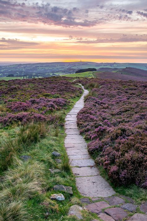 wanderthewood: “The Roaches, Staffordshire, England by JamesPicture ” Green Pasture, Scottish Landscape, England And Scotland, Beautiful Dream, English Countryside, Wales England, International Travel, Wonders Of The World, Nature Art