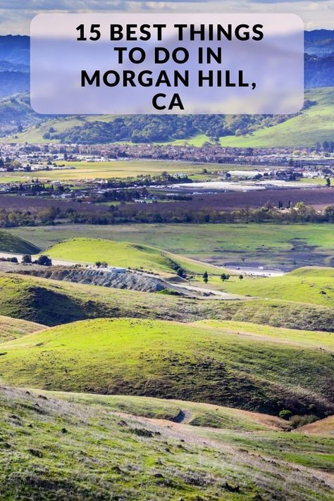 Discover the best things to do and top-rated attractions in Morgan Hill, CA, including Historic Villa Mira Monte, P and V Winery, Guglielmo Winery, and more! Morgan Hill California, Santa Cruz Mountains, Morgan Hill, Miniature Golf Course, Luxury Getaway, Lake County, Local History, Santa Clara, Historical Society