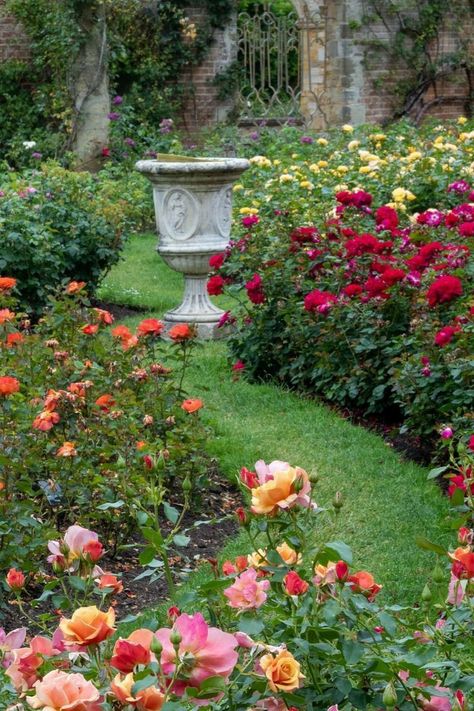 Tropical Rose Garden, Rose Garden Bed Ideas, English Rose Garden Design, Rose Garden Landscape Front Yards, Small Rose Garden Design, Rose Garden Ideas Backyards, Rose Walkway, Backyard Rose Garden, Small Rose Garden Ideas