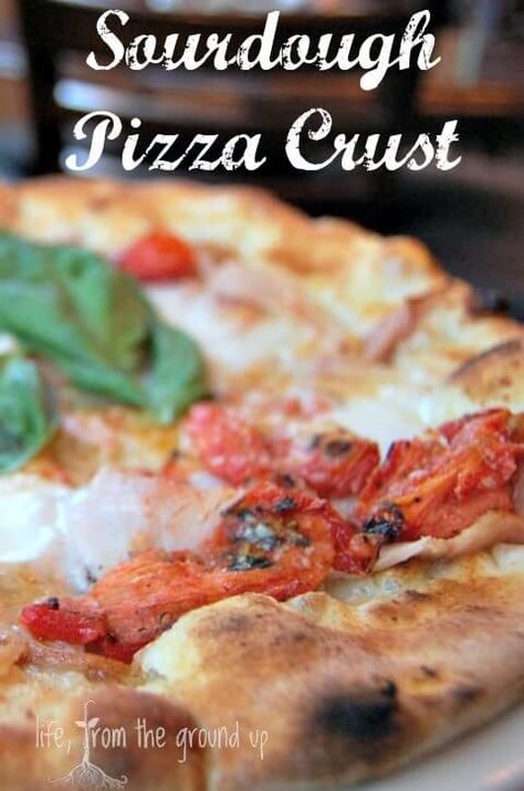 Easy and healthy sourdough pizza crust - better for gluten-sensitive diets! Easy Sourdough Pizza Crust, Gluten Sensitivity Diet, Sourdough Pizza Crust Recipe, Easy Pizza Crust, Sourdough Pizza Crust, Pizza Bianca, Easy Sourdough, Sourdough Starter Recipe, Sourdough Pizza