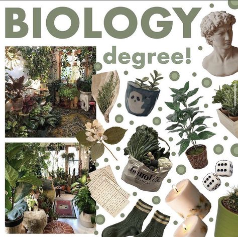 Green Academia Aesthetic, Biology Degree, Biology Major, Green Academia, Niche Aesthetic, Wildlife Biologist, Weird Science, Florist Shop, Cute Bedroom Decor