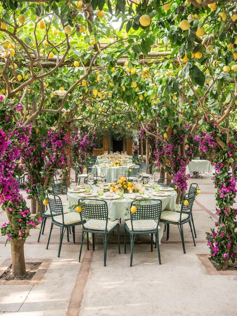 Lemon Trees, Vogue Wedding, Lemon Tree, Italian Wedding, Italy Wedding, It Girl, Italian Restaurant, Amalfi Coast, Rehearsal Dinners