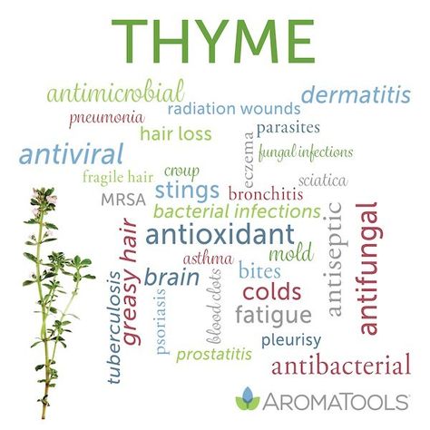 Recipes With Thyme, Thyme Essential Oil Uses, Thyme Benefits, Ways To Use Essential Oils, Thymus Vulgaris, Doterra Oils Recipes, Thyme Essential Oil, Thyme Oil, Essential Oil Remedy