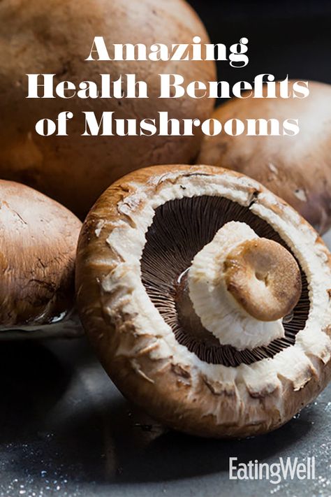 Mushroom Health Benefits, Different Mushrooms, Benefits Of Mushrooms, Health Benefits Of Mushrooms, Mushroom Benefits, Mushroom Growing, Maitake Mushroom, Good Diet, Hydrogen Water