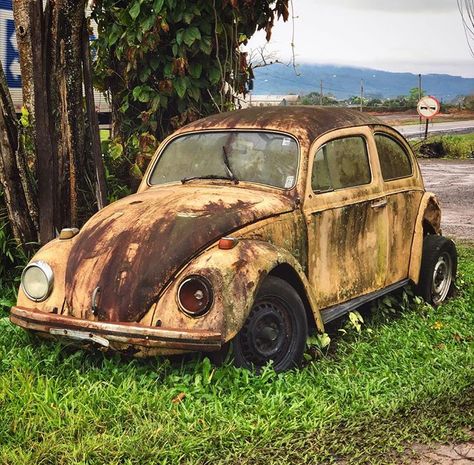 Rusty Cars Abandoned, Old Rusty Car, Bug Car, Rust In Peace, Classic Car Restoration, Beetle Car, Cool Car Drawings, Rusty Cars, Volkswagen Car