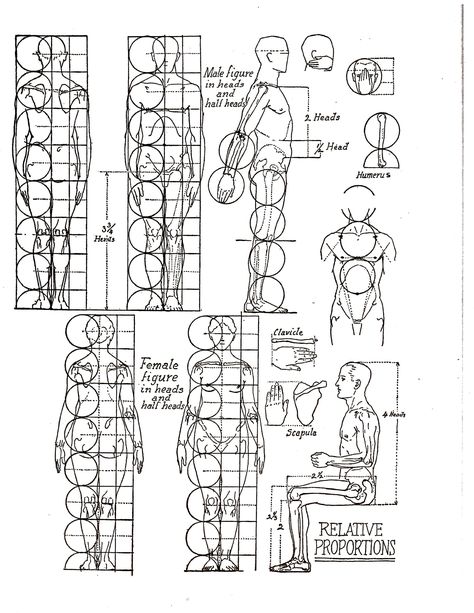 If you really want to learn how to draw the human body, draw from photos, magazine pictures, and any time you're sitting in a waiting room with others. Human Proportions, Body Proportion Drawing, Human Body Proportions, Drawing Body Proportions, Drawing Proportions, Human Body Drawing, Human Anatomy Drawing, Human Drawing, Human Figure Drawing