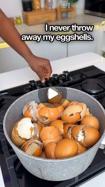 Homestead Life | Farming on Instagram: "I NEVER THROW AWAY MY EGG SHELLS
~
My Favs, stop throwing out your egg shells, do this instead!

~
Sense or nonsense? 

(📷Credit: @velvetyfoodies) 
.
.
.
The copyright of this post doesn’t belong to @homesteadlife.real, nor do we intend to monetize this content. DM us for Removal.

#homestead #homesteadlife #ModernHomesteading #UrbanHomesteading #FarmLife #SimpleLiving #HomesteadLife #offgridliving #CountryLiving #HobbyFarm #RuralLife #Farmstead #farmlife #homesteadhacks #homeschooling #homeschool #SelfSufficiency #homesteader #Homesteading #sheep #animals #lifeinthecountry #countryliving #countrylife #simplelife #slowliving #growyourownfood #sustainability #egg #eggshell" Eggshells For House Plants, How To Use Eggshells In Witchcraft, Egg Shells In The Garden, Egg Shell Uses, Egg Shell Water For Plants, How To Cook Egg Shells For Chickens, How To Use Egg Shells In The Garden, Modern Homesteading, Urban Homesteading