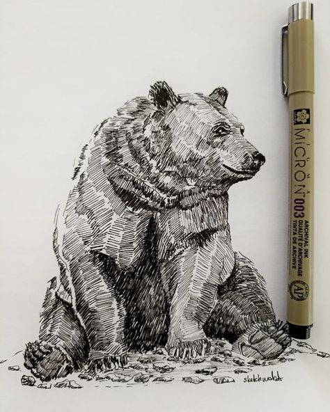 Animal Sketches Aesthetic, Realistic Ink Drawings, Animals Ink Drawing, Exotic Animals Drawings, Easy But Impressive Drawings, Graphite Animal Drawings, Animal Pen Sketch, Colored Pencil Art Animals, Animals To Draw Realistic