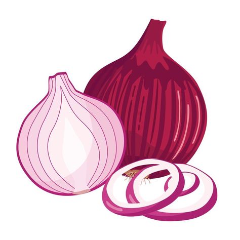 Whole, half, and sliced red onions isolated on white background. Vector cartoon illustration. Red Onion Drawing, Red Onion Illustration, Onion Illustration, Onion Cartoon, Onion Art, Onion Drawing, Vacation Planner Template, White Backround, Space Coloring Pages