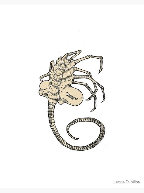 Face Hugger Drawing, Facehugger Drawing, Face Hugger Tattoo, Facehugger Tattoo, Alien Tattoo Xenomorph, Face Hugger, Tattoo Dark, Alien Drawings, Alien Face