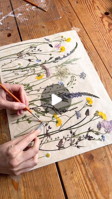 Meadow and Thyme | Sarah Holland | Pressed Flower Artist on Instagram: "Applying the finishing touches to this commission - a real celebration of the beauty of wildflowers.

#wildflowers #finishingtouches #flowersarebeautiful" Pressed Wildflowers, Flower Artists, Lokta Paper, Pressed Flower Art, Pressed Flower, Artist On Instagram, Do Love, Pressed Flowers, Thyme