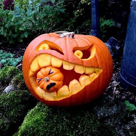 Contest Winning Pumpkin Carving Ideas, Pumpkin Competition Ideas, Halloween Pumpkins Carvings Designs, Funny Pumpkin Carvings, Creative Pumpkin Painting, Cute Pumpkin Carving, Halloween Pumpkin Carving Stencils, Pumpkin Carving Contest, Creepy Pumpkin