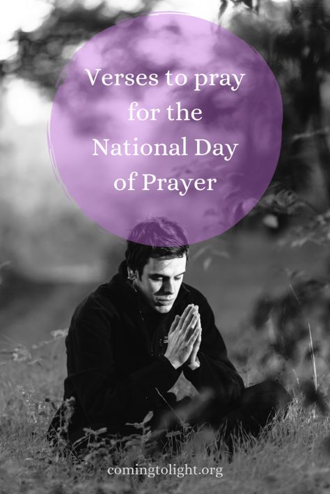 Verses to Pray Through on The National Day of Prayer - Coming to Light with Maryann Lorts National Day Of Prayer Ideas, National Day Of Prayer 2024, Prayer For Our Nation, National Prayer Day, Brown Pelicans, Verses To Pray, National Day Of Prayer, Prayer Signs, Prayer Changes Things